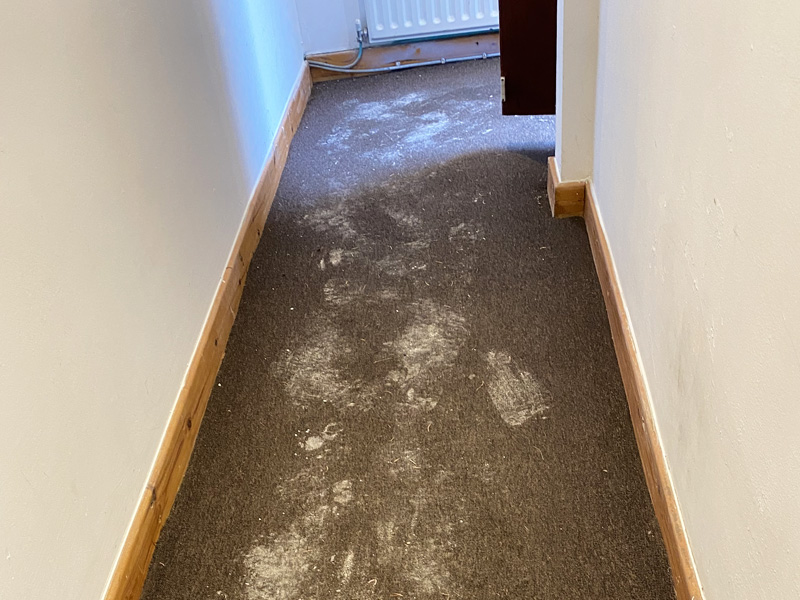 Best Apartment Cleaners Didsbury Best Apartment Cleaners Didsbury